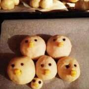 ヒメ日記 2024/12/23 20:30 投稿 ふたば 涼泉（りょうせん）