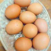 ヒメ日記 2025/01/20 12:06 投稿 ふたば 涼泉（りょうせん）