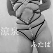 ヒメ日記 2025/01/22 09:54 投稿 ふたば 涼泉（りょうせん）