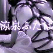 ヒメ日記 2025/01/23 12:08 投稿 ふたば 涼泉（りょうせん）