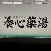ヒメ日記 2025/01/28 12:03 投稿 ふたば 涼泉（りょうせん）