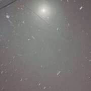 ヒメ日記 2025/02/08 07:06 投稿 ふたば 涼泉（りょうせん）