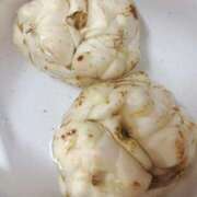 ヒメ日記 2025/02/16 06:30 投稿 ふたば 涼泉（りょうせん）