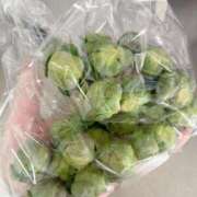 ヒメ日記 2025/02/27 06:30 投稿 ふたば 涼泉（りょうせん）