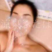 ヒメ日記 2025/03/03 06:30 投稿 ふたば 涼泉（りょうせん）