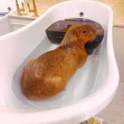 ヒメ日記 2025/03/09 20:30 投稿 ふたば 涼泉（りょうせん）