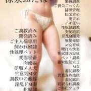 ヒメ日記 2025/03/14 20:31 投稿 ふたば 涼泉（りょうせん）