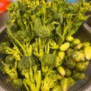 ヒメ日記 2025/03/16 20:30 投稿 ふたば 涼泉（りょうせん）