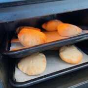 ヒメ日記 2025/03/20 06:30 投稿 ふたば 涼泉（りょうせん）