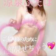 ヒメ日記 2025/03/21 12:01 投稿 ふたば 涼泉（りょうせん）