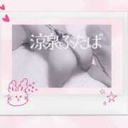 ヒメ日記 2025/03/22 12:05 投稿 ふたば 涼泉（りょうせん）