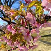 ヒメ日記 2025/03/24 20:30 投稿 ふたば 涼泉（りょうせん）