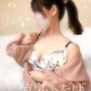 ヒメ日記 2025/03/27 12:03 投稿 ふたば 涼泉（りょうせん）