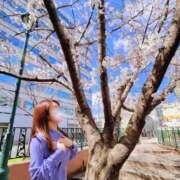 ヒメ日記 2025/03/31 06:30 投稿 ふたば 涼泉（りょうせん）