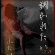 ヒメ日記 2025/04/03 06:30 投稿 ふたば 涼泉（りょうせん）