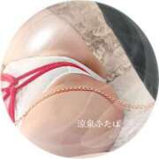 ヒメ日記 2025/04/03 12:00 投稿 ふたば 涼泉（りょうせん）