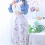 ヒメ日記 2025/04/09 12:01 投稿 ふたば 涼泉（りょうせん）