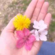 ヒメ日記 2025/04/10 20:30 投稿 ふたば 涼泉（りょうせん）