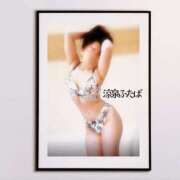 ヒメ日記 2025/04/11 12:05 投稿 ふたば 涼泉（りょうせん）