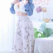 ヒメ日記 2025/04/16 20:30 投稿 ふたば 涼泉（りょうせん）