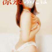 ヒメ日記 2025/04/21 06:30 投稿 ふたば 涼泉（りょうせん）