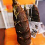 ヒメ日記 2025/04/21 20:41 投稿 ふたば 涼泉（りょうせん）