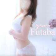 ヒメ日記 2025/04/29 13:00 投稿 ふたば 涼泉（りょうせん）