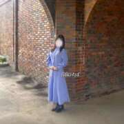 ヒメ日記 2025/05/08 13:00 投稿 ふたば 涼泉（りょうせん）