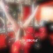 ヒメ日記 2025/05/16 13:01 投稿 ふたば 涼泉（りょうせん）