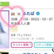 ヒメ日記 2025/05/20 08:30 投稿 ふたば 涼泉（りょうせん）