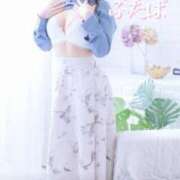 ヒメ日記 2025/05/20 13:00 投稿 ふたば 涼泉（りょうせん）