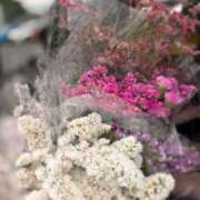 ヒメ日記 2025/05/29 08:30 投稿 ふたば 涼泉（りょうせん）