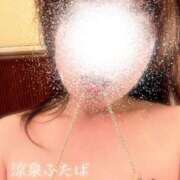 ヒメ日記 2025/06/06 07:09 投稿 ふたば 涼泉（りょうせん）