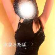 ヒメ日記 2025/07/03 13:00 投稿 ふたば 涼泉（りょうせん）