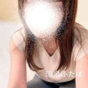 ヒメ日記 2025/07/09 18:00 投稿 ふたば 涼泉（りょうせん）