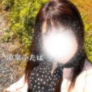 ヒメ日記 2025/07/10 13:00 投稿 ふたば 涼泉（りょうせん）