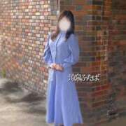 ヒメ日記 2025/07/14 13:00 投稿 ふたば 涼泉（りょうせん）