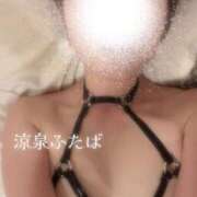 ヒメ日記 2025/07/19 22:00 投稿 ふたば 涼泉（りょうせん）