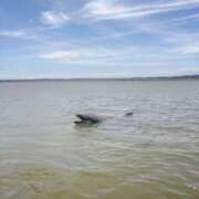 ヒメ日記 2025/07/29 13:38 投稿 ふたば 涼泉（りょうせん）