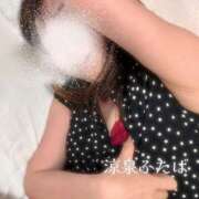 ヒメ日記 2025/08/02 08:30 投稿 ふたば 涼泉（りょうせん）