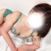 ヒメ日記 2025/08/31 22:00 投稿 ふたば 涼泉（りょうせん）