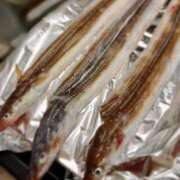 ヒメ日記 2025/09/17 13:01 投稿 ふたば 涼泉（りょうせん）