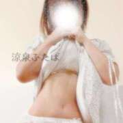 ヒメ日記 2025/09/28 22:23 投稿 ふたば 涼泉（りょうせん）