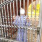 ヒメ日記 2025/10/03 08:30 投稿 ふたば 涼泉（りょうせん）