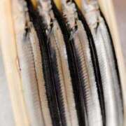 ヒメ日記 2025/10/17 13:00 投稿 ふたば 涼泉（りょうせん）