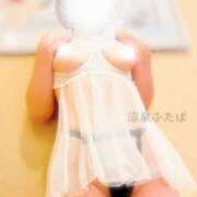 ヒメ日記 2025/10/17 22:00 投稿 ふたば 涼泉（りょうせん）