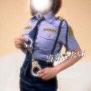 ヒメ日記 2025/11/13 13:15 投稿 ふたば 涼泉（りょうせん）