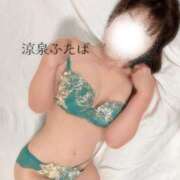 ヒメ日記 2025/11/21 08:30 投稿 ふたば 涼泉（りょうせん）