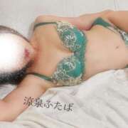 ヒメ日記 2025/12/06 22:00 投稿 ふたば 涼泉（りょうせん）