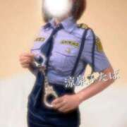 ヒメ日記 2025/12/10 08:43 投稿 ふたば 涼泉（りょうせん）